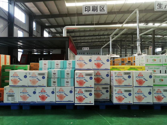 Kotak Kemasan Kertas Bergelombang Dari Kertas Batu